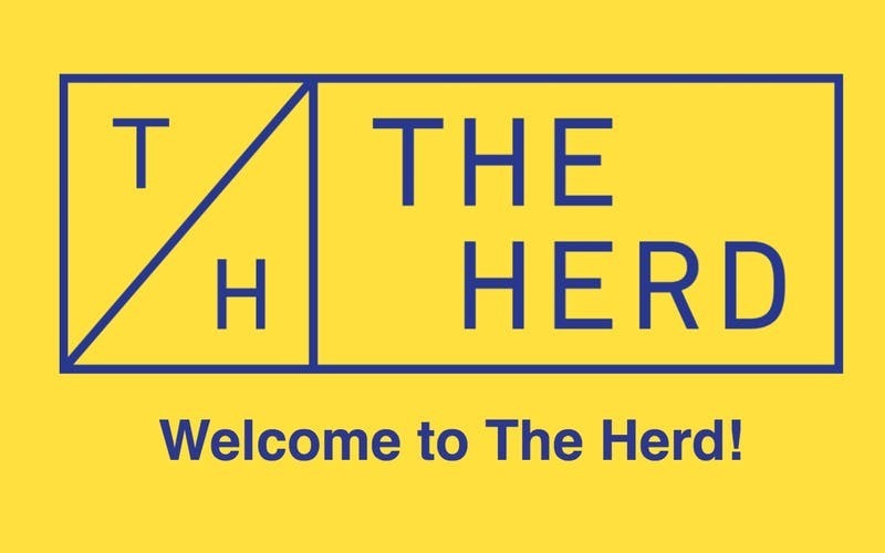 Herd Coworking Herd Coworking