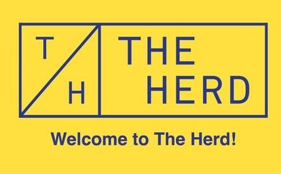 Herd Coworking Herd Coworking