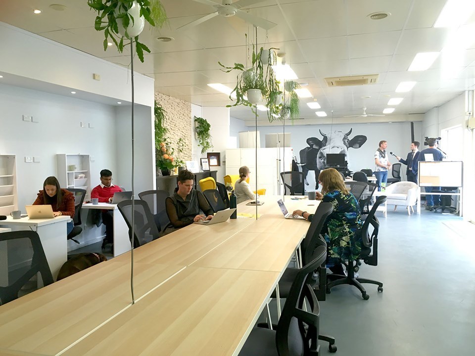 Herd Coworking Herd Coworking