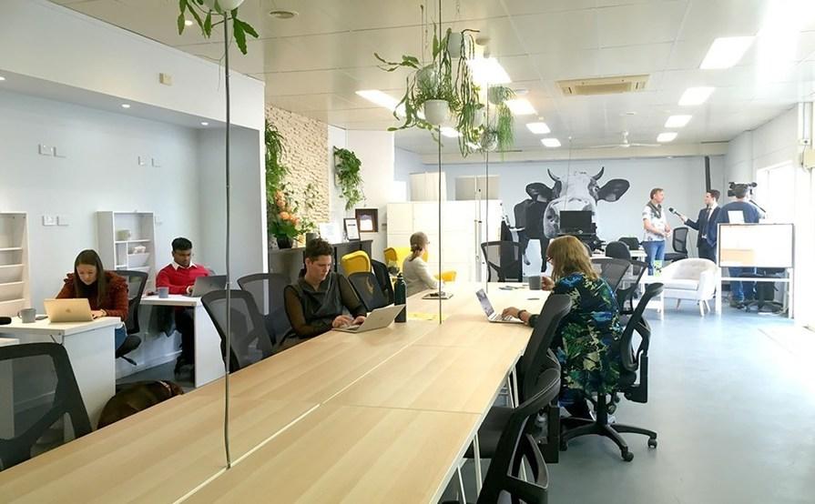 Herd Coworking Herd Coworking