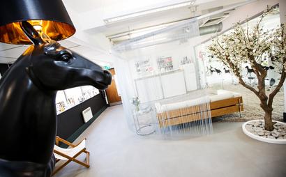 Shared working space in the heart of Ascot Shared working space in the heart of Ascot