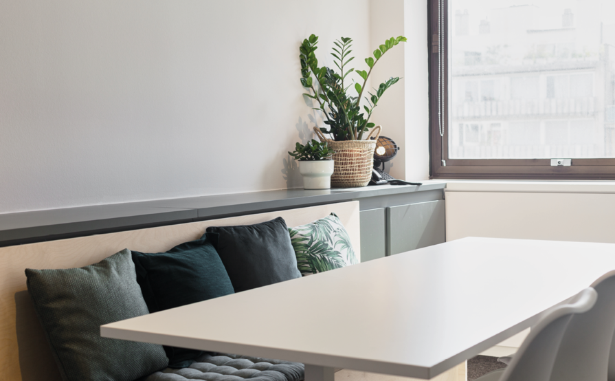 Stokesia & Nikko Blue - Meeting rooms