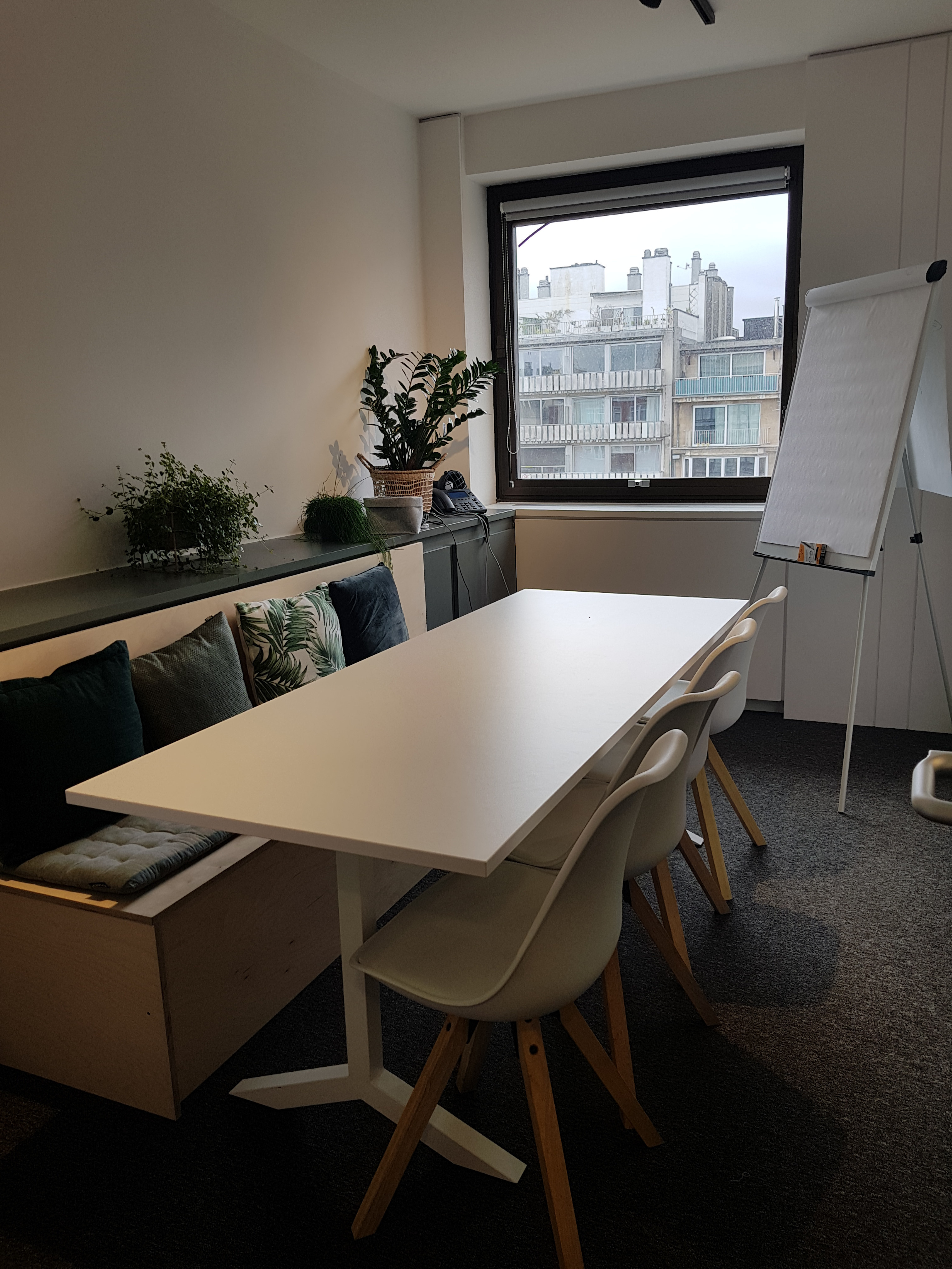 Stokesia & Nikko Blue - Meeting rooms