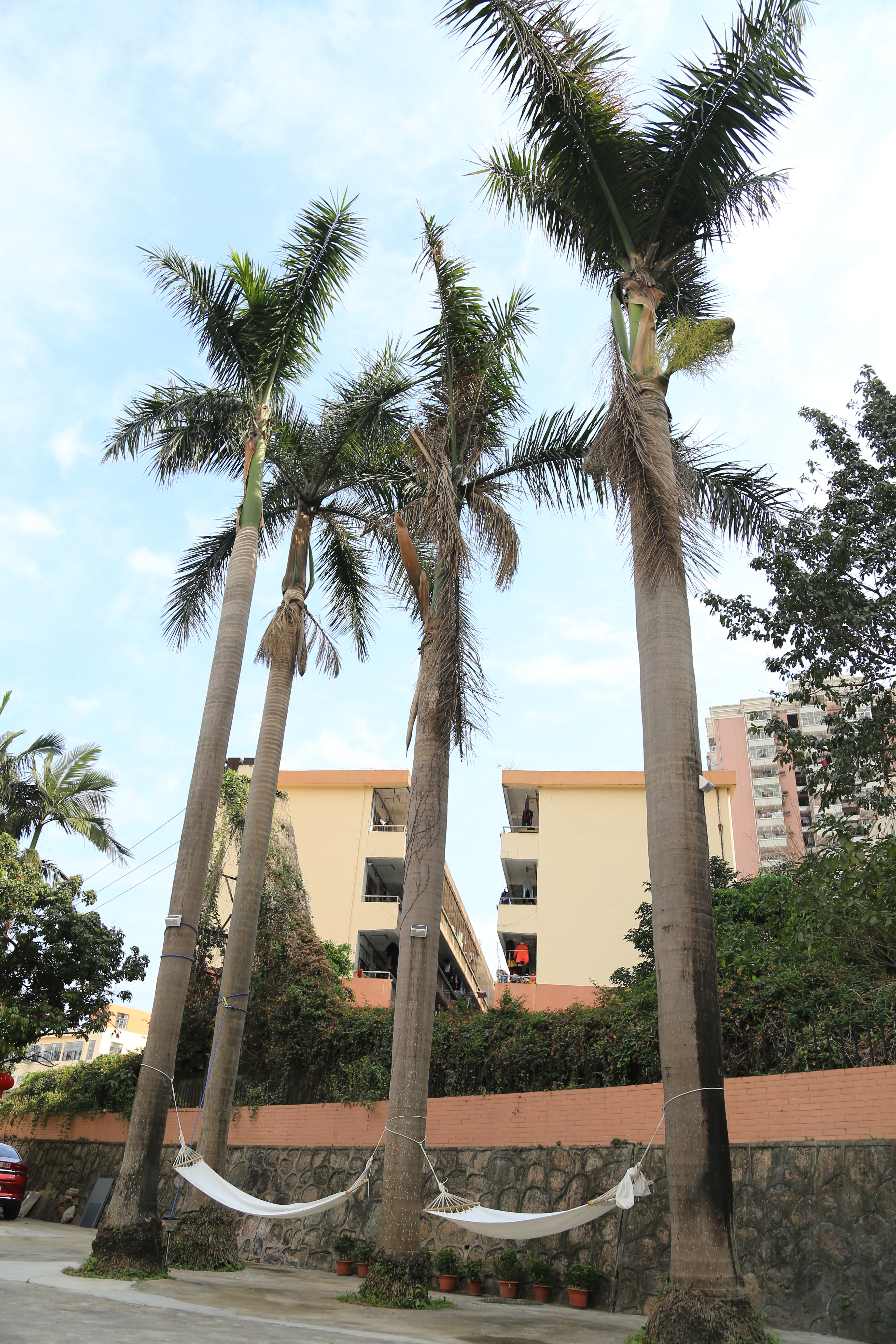 OpenMind Shenzhen (Event Space)