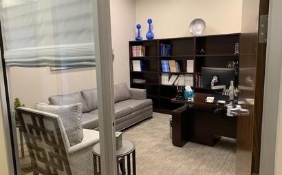 Large Office Large Office