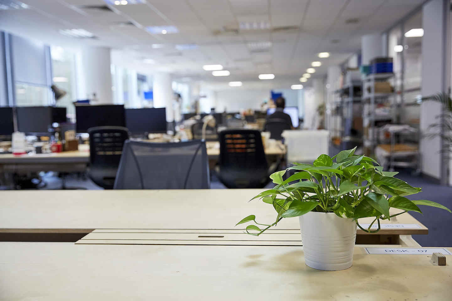 Fixed / Hot Desks / Day Pass