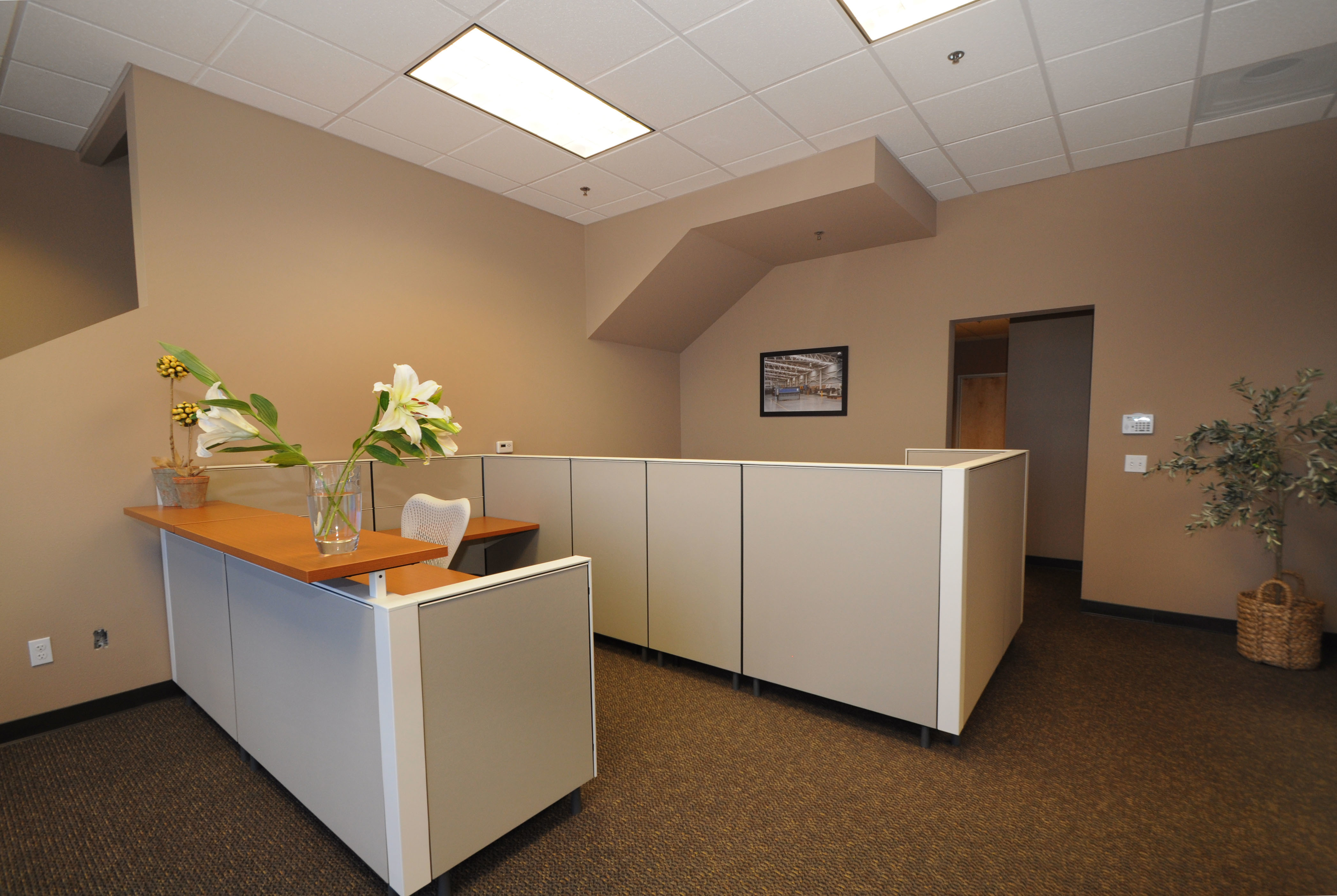 ITC Business Center & Co-working: Coworking dedicated desk