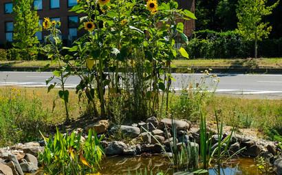 Coworking: Coworker membership (5d/week)  Coworking: Coworker membership (5d/week)