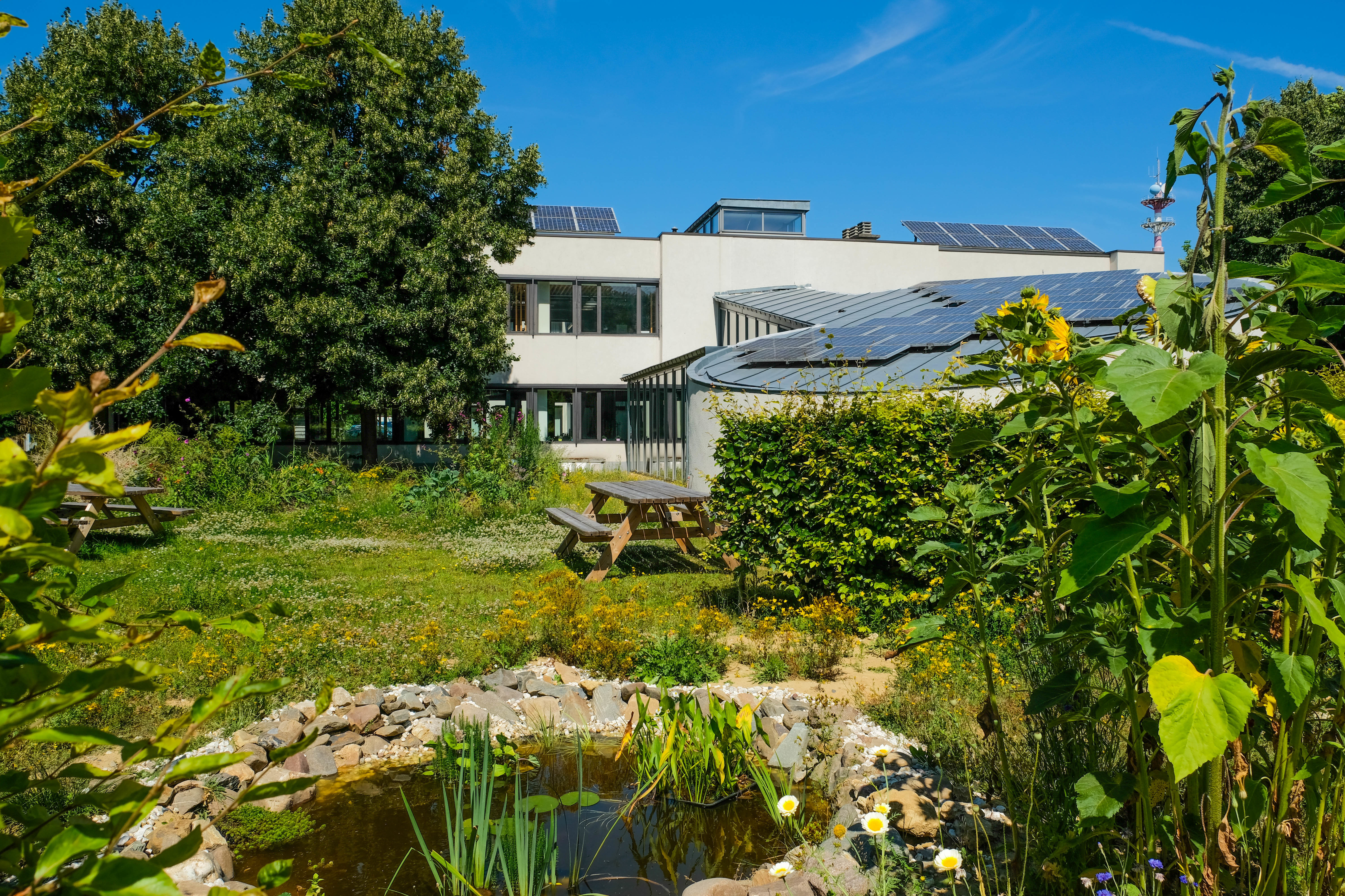 Garden View II: Comfortable meeting room surrounded by natural daylight 