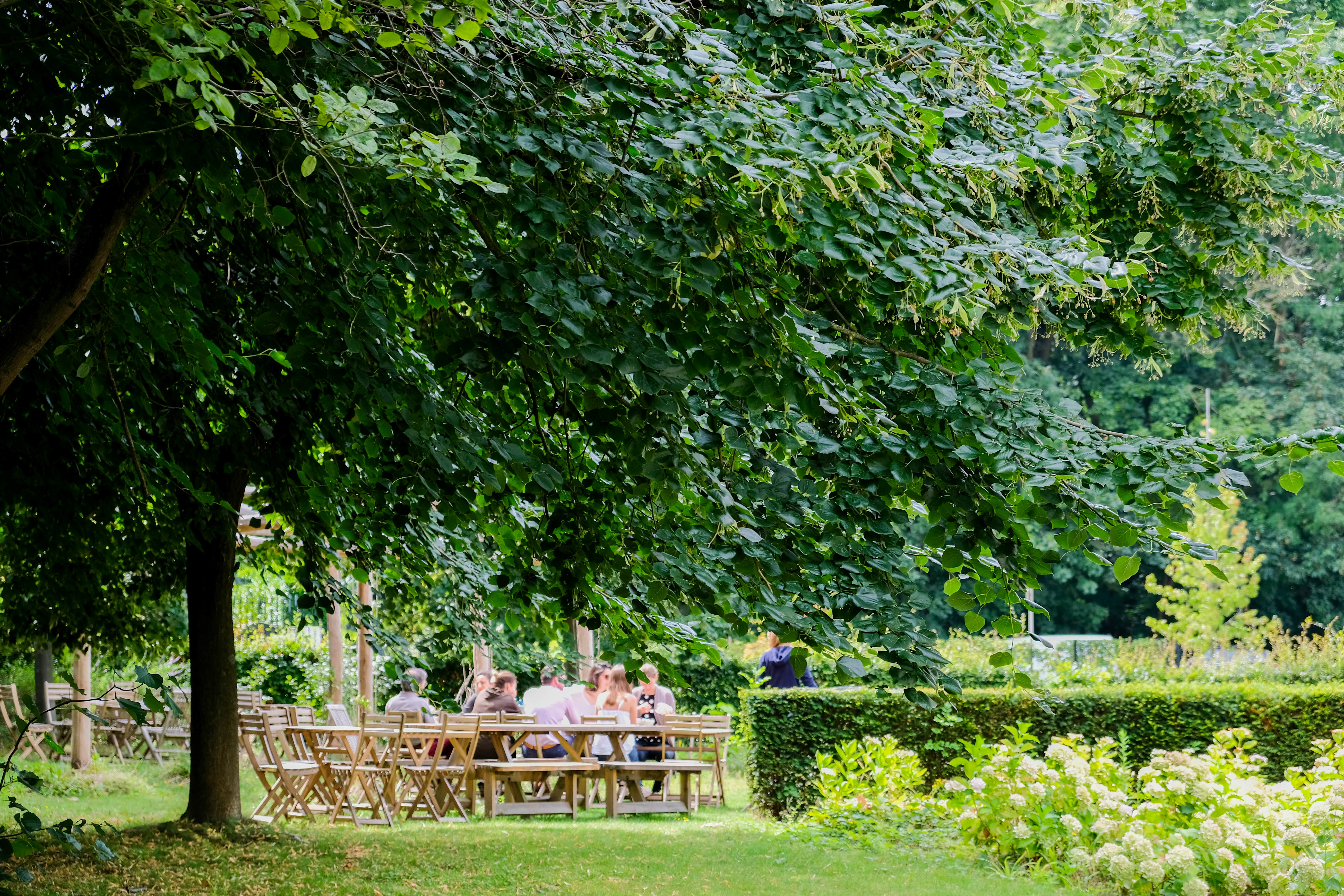 Garden View I: Small meeting room with permaculture garden view  