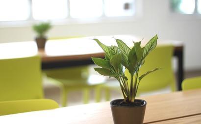EXCLUSIVE OFFER - MEETING ROOM DISCOUNT EXCLUSIVE OFFER - MEETING ROOM DISCOUNT