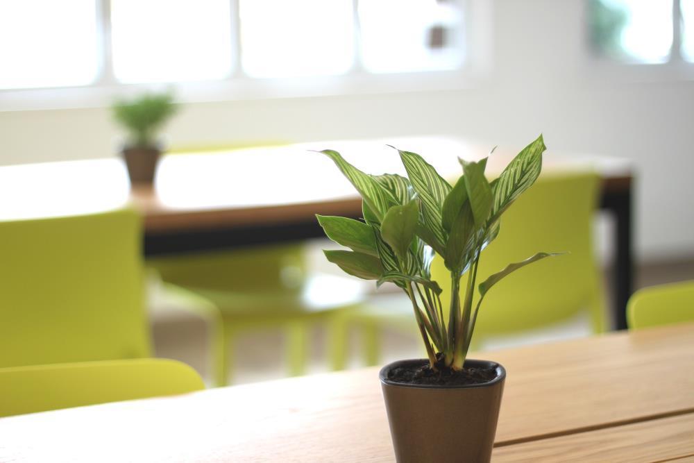Private Office Room in Central! (1-8 people) Private Office Room in Central! (1-8 people)