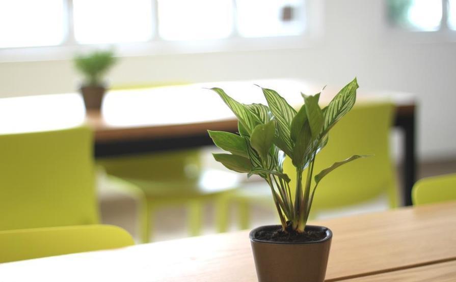 Private Office Room in Central! (1-8 people) Private Office Room in Central! (1-8 people)