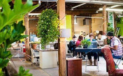 Experience Experience