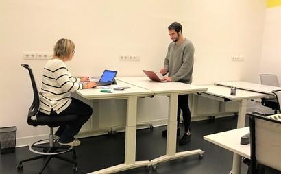 HONEYBEES ROOM HONEYBEES ROOM