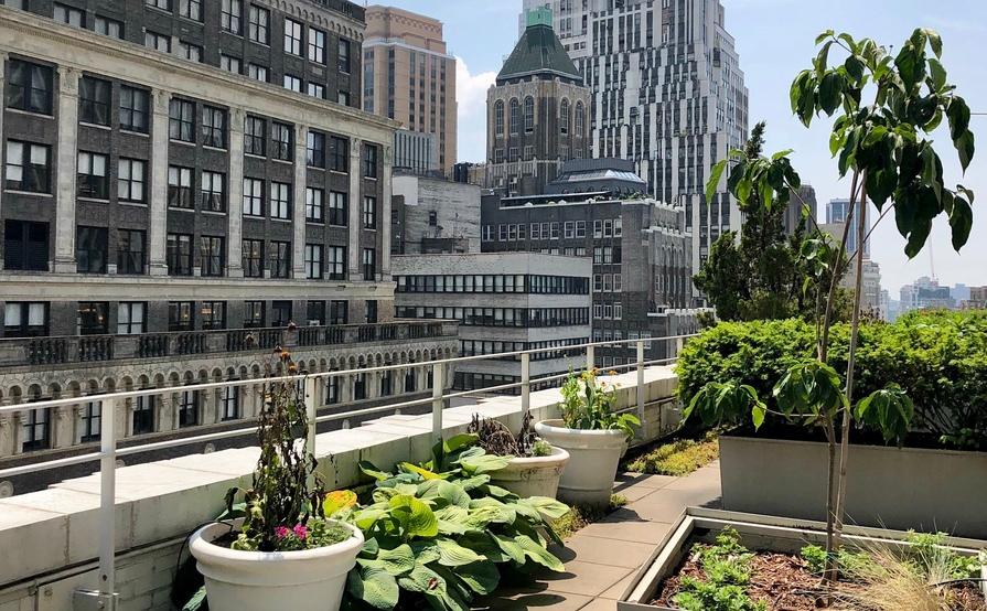 Contemporary, All-inclusive Office Suite Sublet Rental Contemporary, All-inclusive Office Suite Sublet Rental