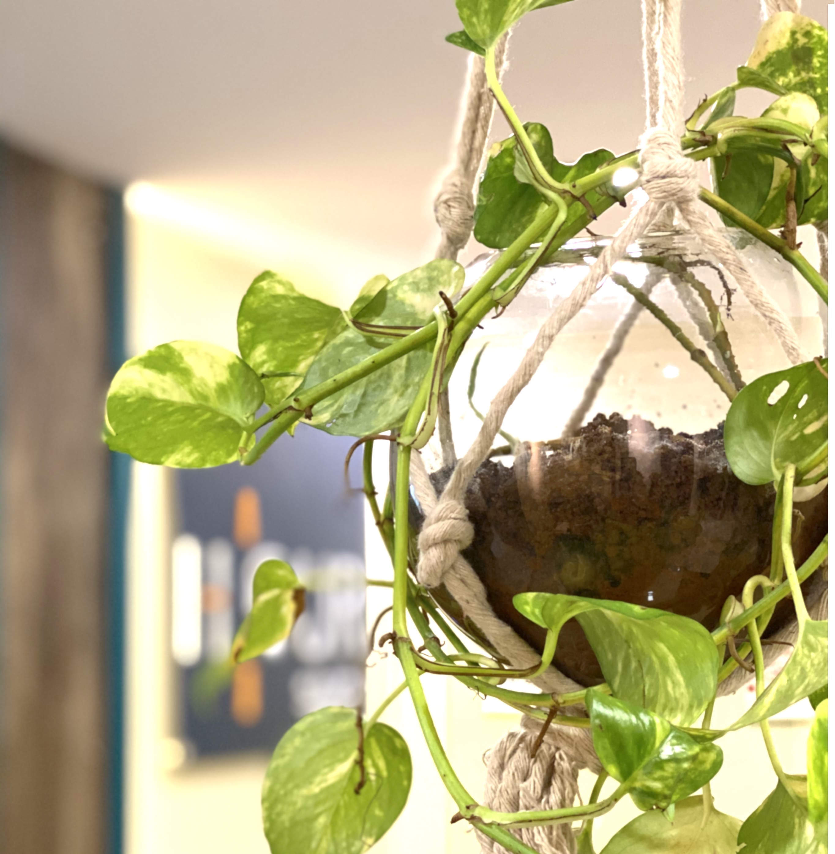 WorkSpace near Gateway of India 