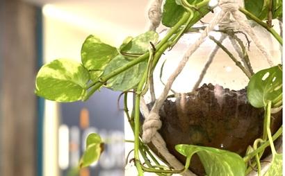 WorkSpace near Gateway of India WorkSpace near Gateway of India