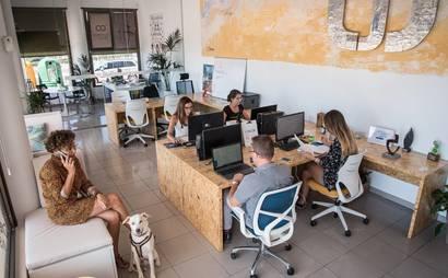 CoWorking Costa Adeje CoWorking Costa Adeje