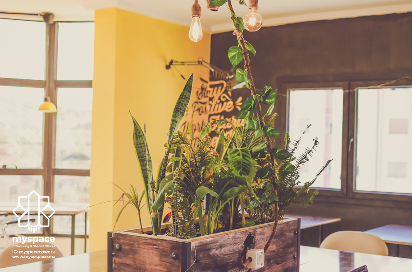 MySpace Coworking & Shared Desks