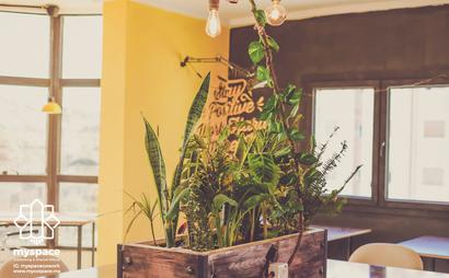 MySpace Coworking & Shared Desks MySpace Coworking & Shared Desks