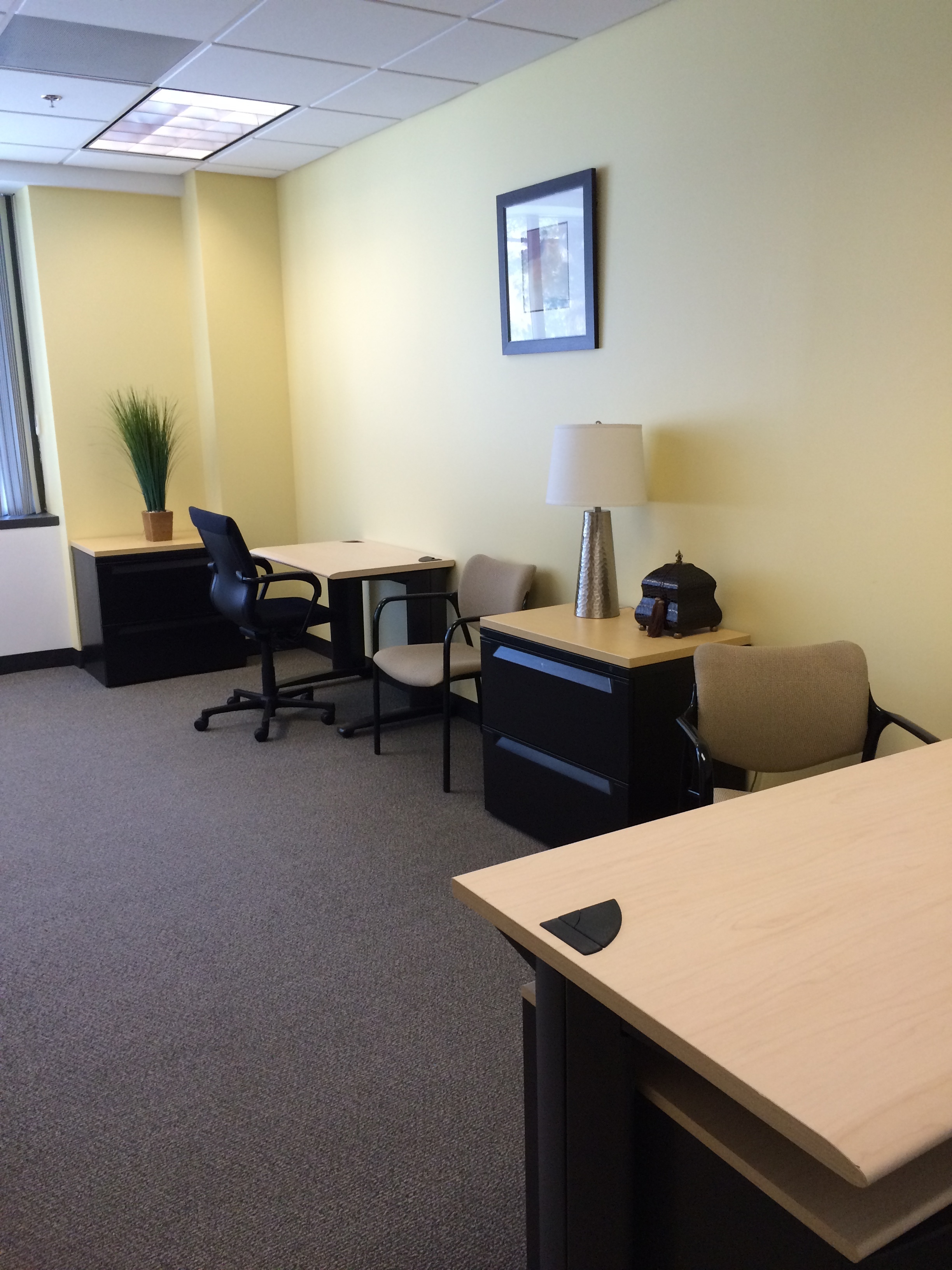 Flexible, Fully Furnished Office Space for 1 to 75 People