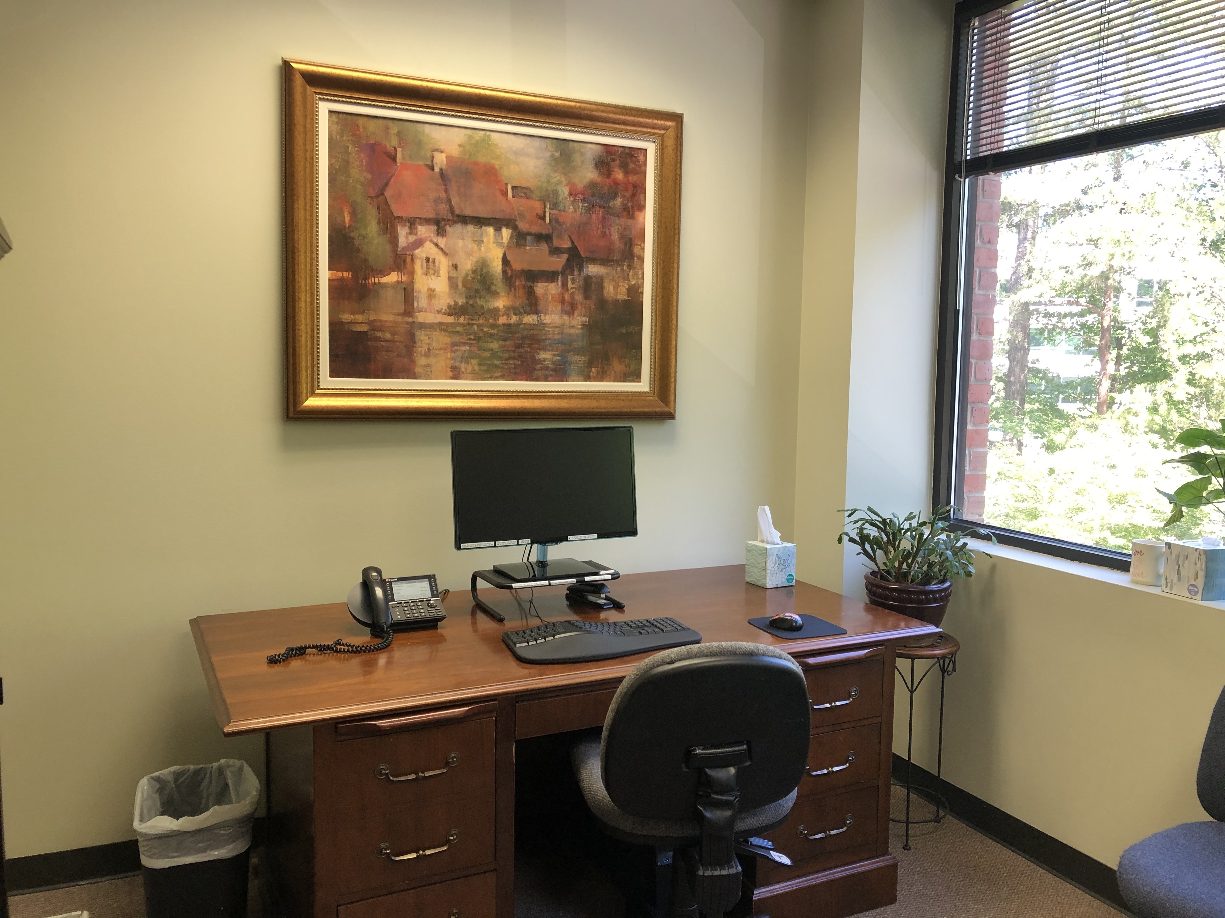 Peachtree City Executive Office Space
