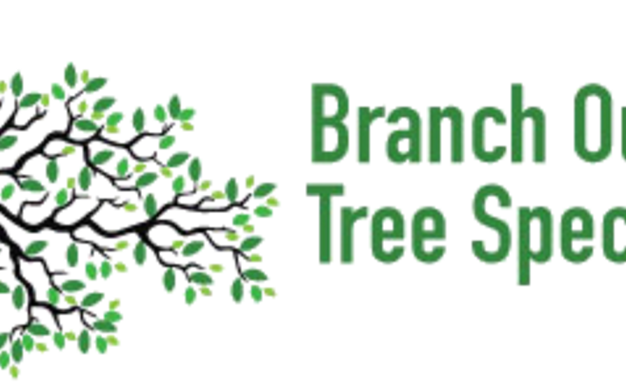 Branch Out Tree Specialist
