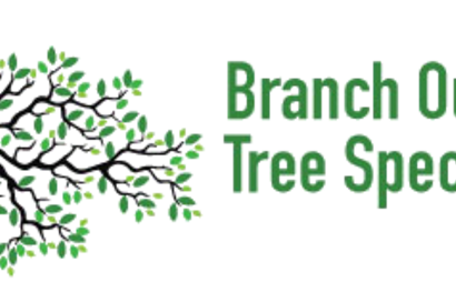 Branch Out Tree Specialist Branch Out Tree Specialist