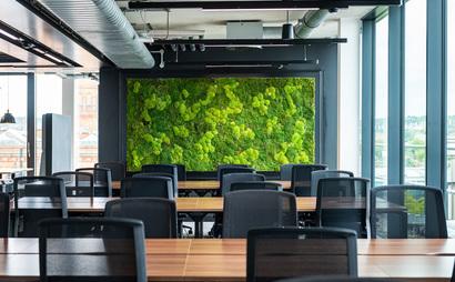 Ioana Nicolae Ioana Nicolae