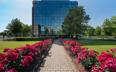 Lavora a modo tuo in un ufficio dedicato su misura.