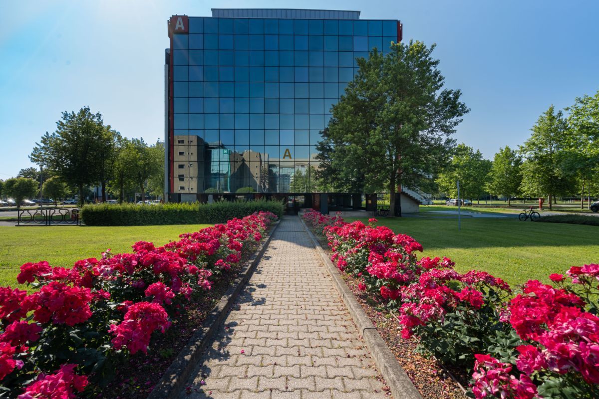 Lavora a modo tuo in un ufficio dedicato per 5