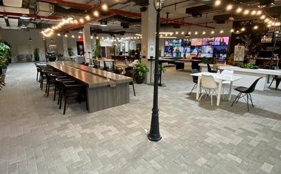 Trifid Media Trifid Media