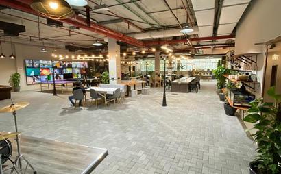 Trifid Media Trifid Media