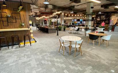 Trifid Media Trifid Media