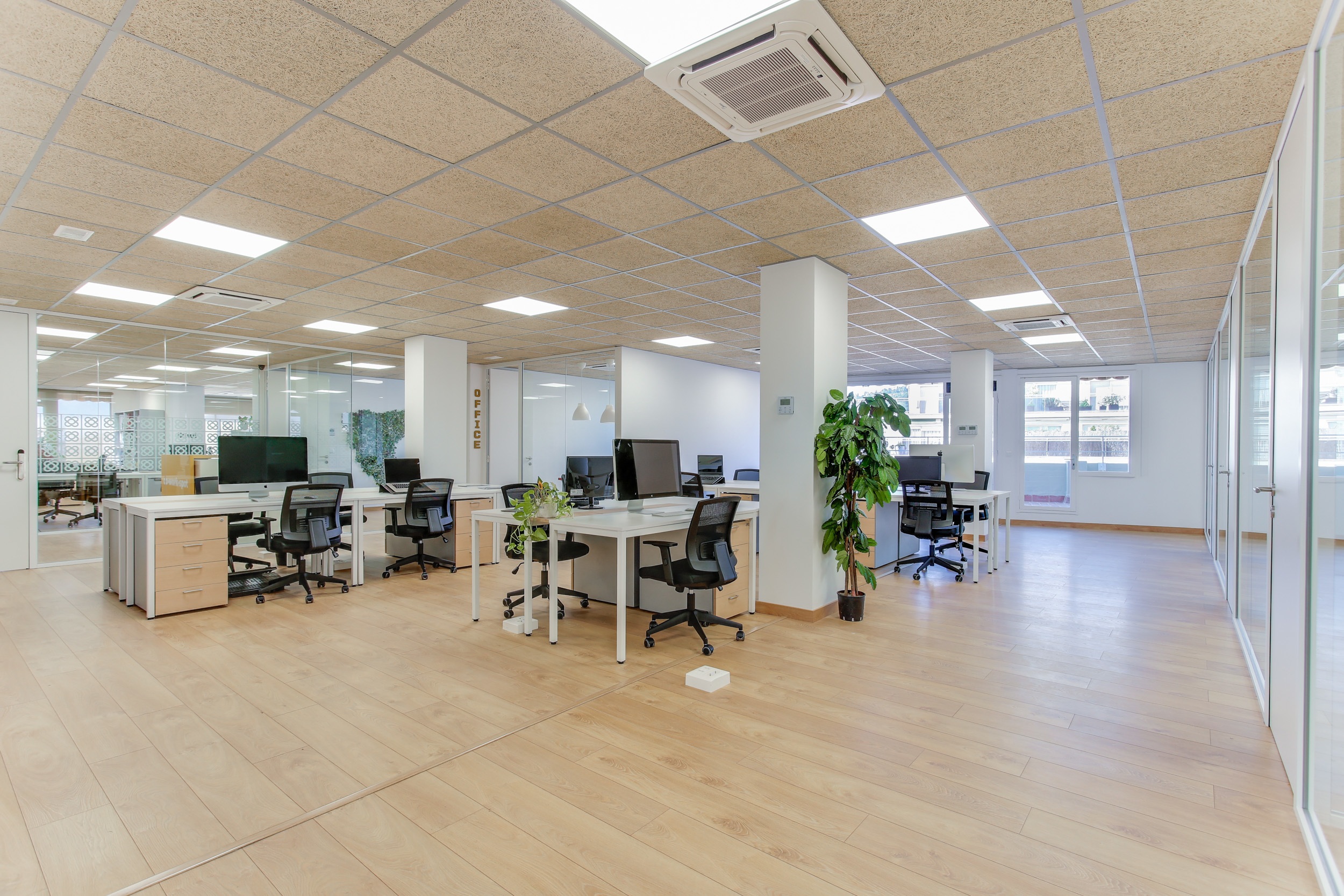 Private Desk in the Coworking Space 