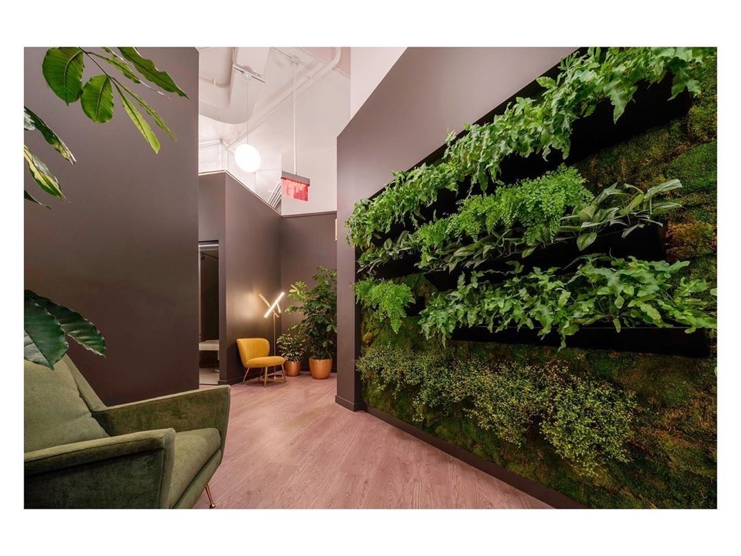 Liliway Holistic Space