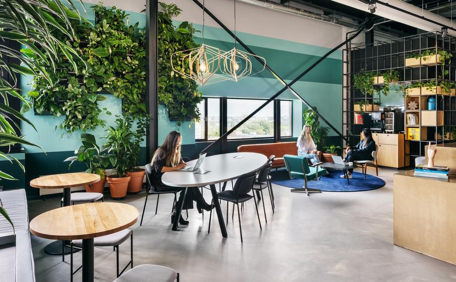 TSH Collab Amsterdam City 13th Floor TSH Collab Amsterdam City 13th Floor