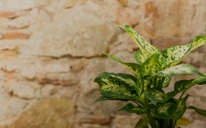 LOFT 153 COWORKING LOFT 153 COWORKING