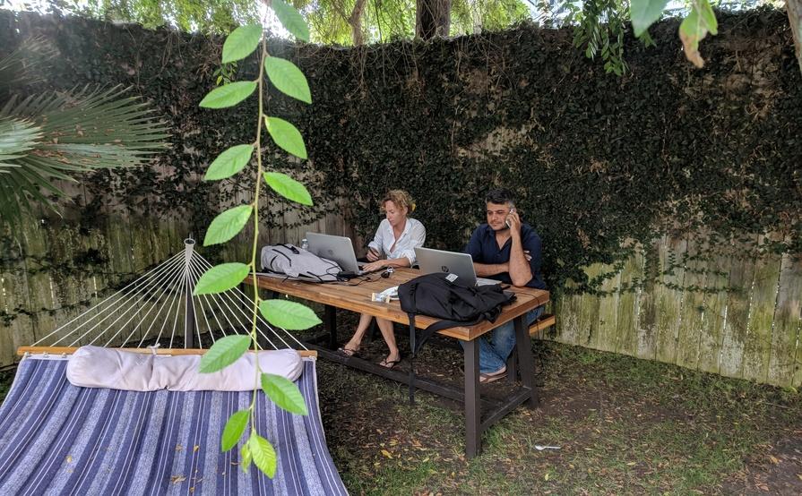 Co-working Co-working