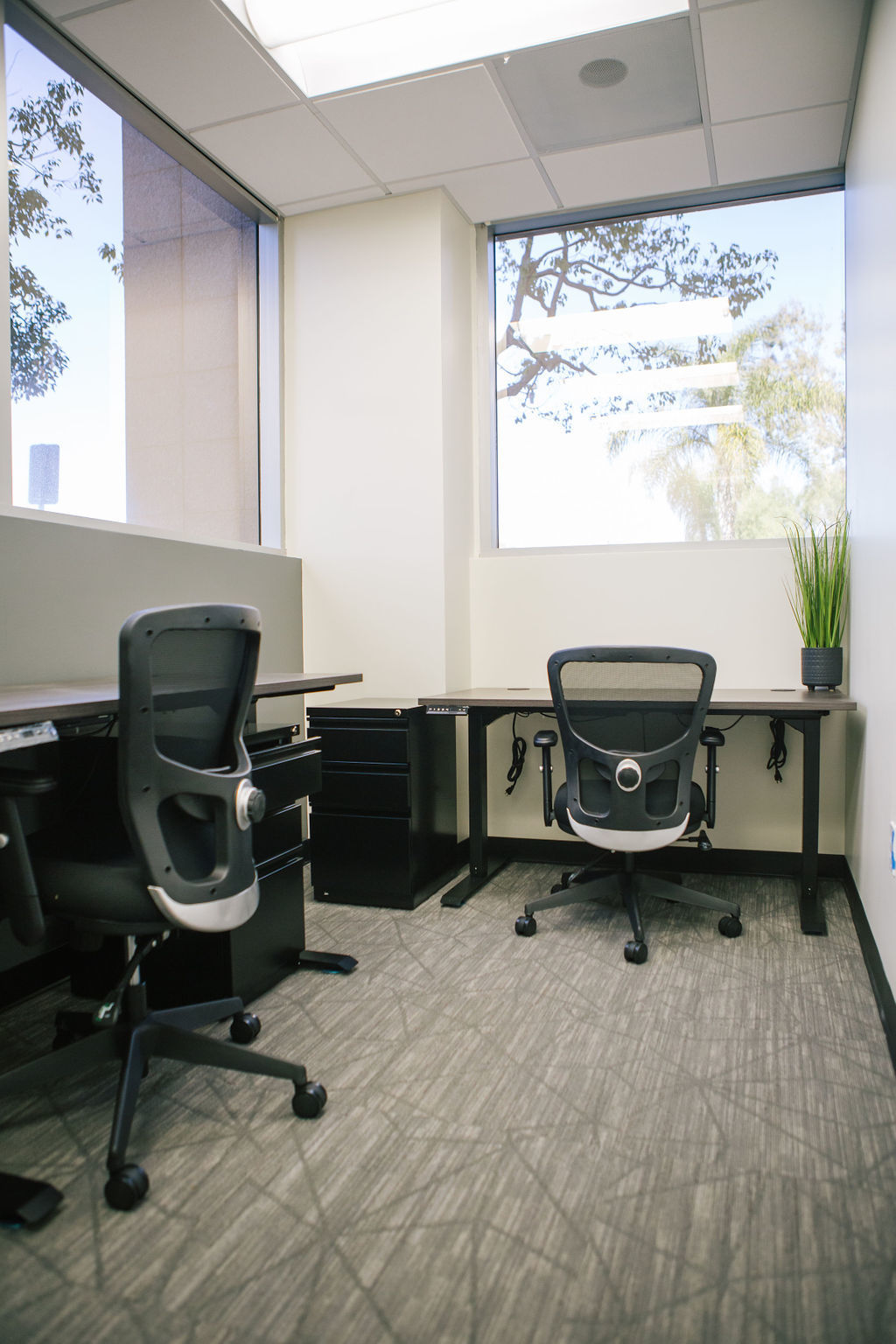 Three Person Private Office