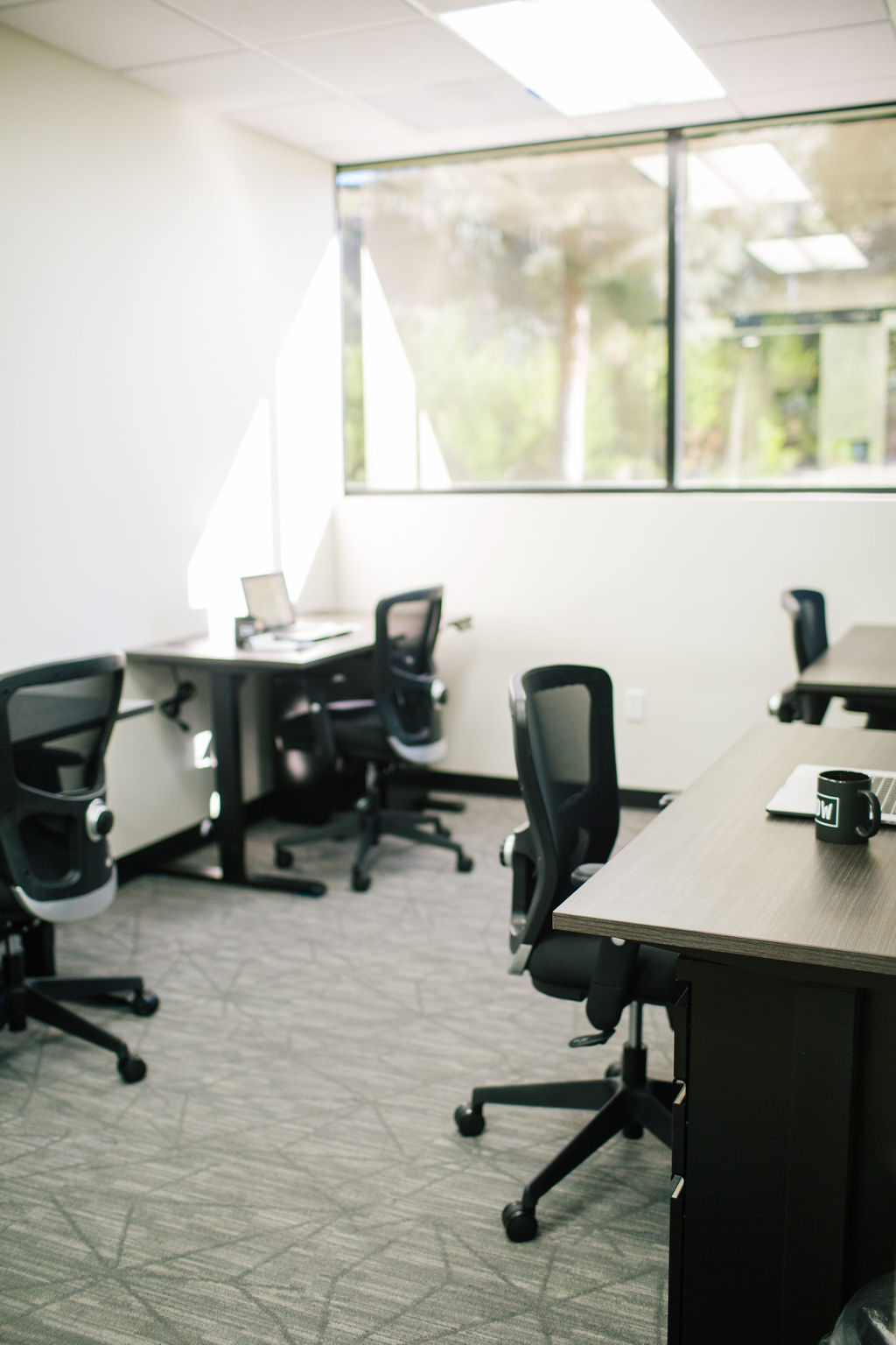 Four Person Private Office