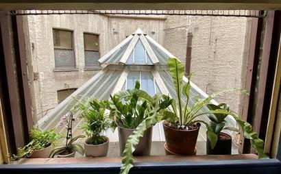 Above the Rotunda Above the Rotunda