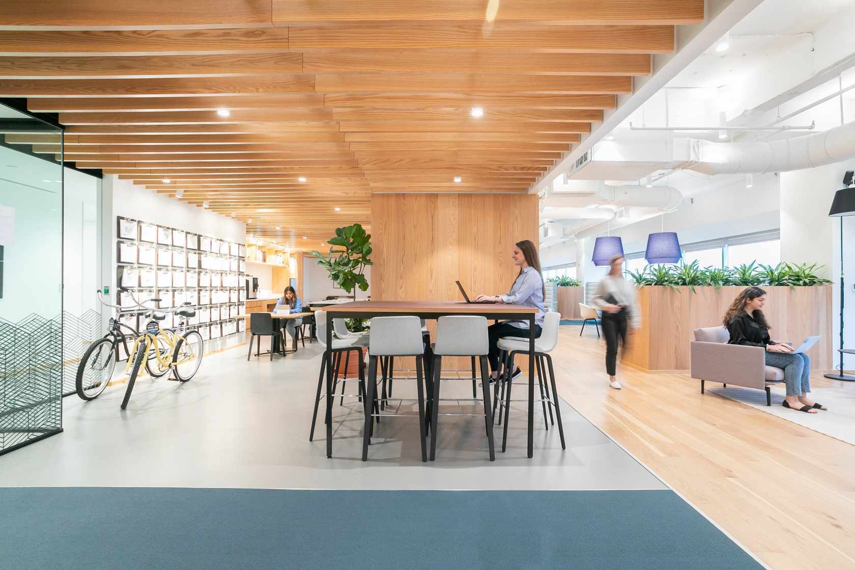 Enquire now to see what we can offer