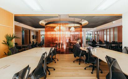 the halley the halley