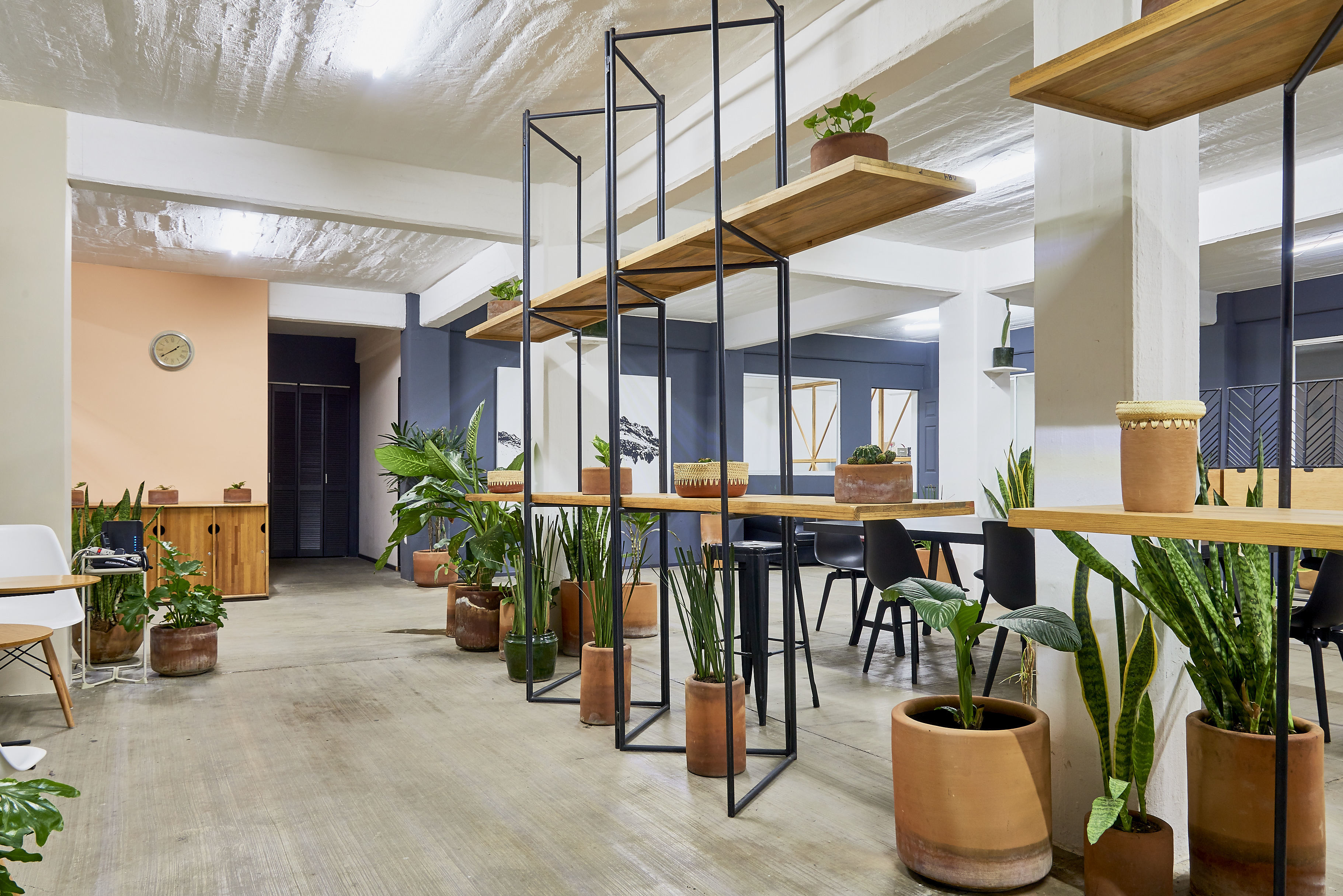 Céntrico Cowork Jalactlaco