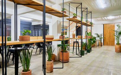 Céntrico Cowork Jalactlaco Céntrico Cowork Jalactlaco