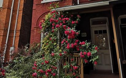 Peace Studio Peace Studio