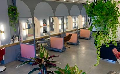 The Paint Box  The Paint Box