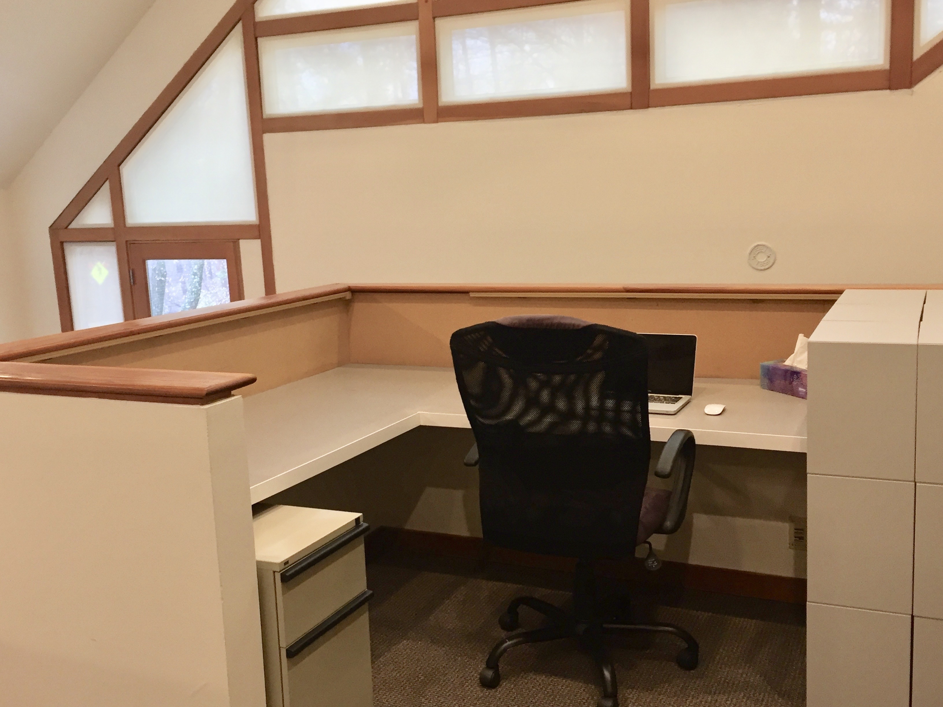 Open Loft  Space offers lots of natural light!